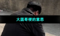 《抖音》大圆哥梗的意思介绍