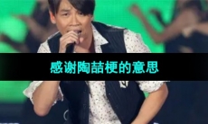 《抖音》感谢陶喆梗的意思介绍