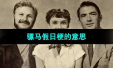 《抖音》骡马假日梗的意思介绍