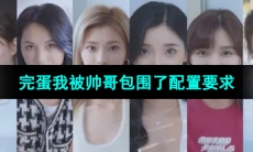 《完蛋2我被帅哥包围了》配置要求