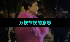 《抖音》万梗节梗的意思介绍