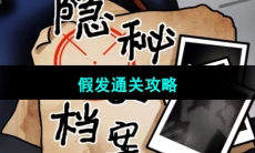 《隐秘的档案》假发通关攻略