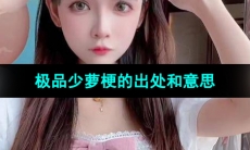 《抖音》极品少萝梗的意思介绍