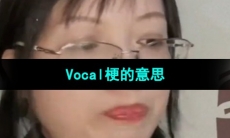 《抖音》Vocal梗的意思介绍