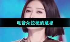 《抖音》电音朵拉梗的意思介绍