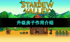 《星露谷物语》升级房子作用介绍