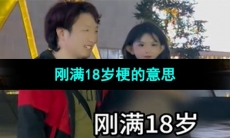《抖音》刚满18岁梗的意思介绍
