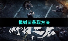 《明日之后》橡树苗获取方法