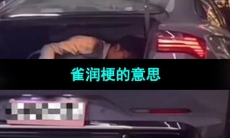 《抖音》雀润梗的意思介绍