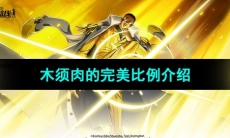 《航海王热血航线》木须肉的完美比例介绍