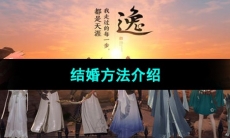 《天涯明月刀》结婚方法介绍