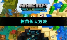 《我的世界》树苗长大方法