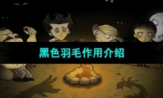 《饥荒》黑色羽毛作用介绍