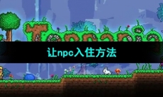 《泰拉瑞亚》让npc入住方法