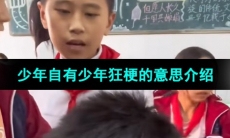 《抖音》少年自有少年狂梗的意思介绍