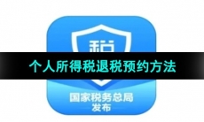 2024年个人所得税退税预约方法