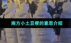 《抖音》南方小土豆梗的意思介绍