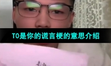 《抖音》T0是你的谎言梗的意思介绍