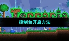 《泰拉瑞亚》控制台开启方法