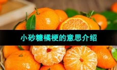 《抖音》小砂糖橘梗的意思介绍