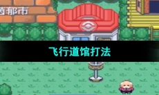 《口袋妖怪究极绿宝石》飞行道馆打法
