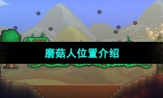 《泰拉瑞亚》磨菇人位置介绍