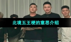《抖音》北境五王梗的意思介绍