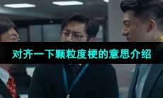 《抖音》对齐一下颗粒度梗的意思介绍