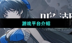 《鸣潮》游戏平台介绍