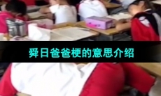 《抖音》舜日爸爸梗的意思介绍