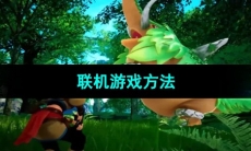 《幻兽帕鲁》联机游戏方法