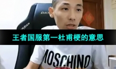 旭旭宝宝王者国服第一杜甫梗的意思介绍