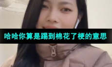 《抖音》哈哈你算是踢到棉花了梗的意思介绍