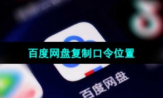《百度网盘》复制口令位置