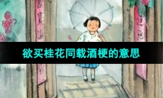 《抖音》欲买桂花同载酒梗的意思介绍