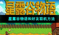 《星露谷物语》和好友联机方法