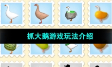 《抓大鹅》游戏玩法介绍