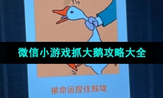 微信小游戏抓大鹅攻略大全