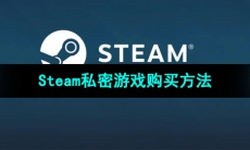 《Steam》私密游戏购买方法