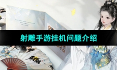 《射雕手游》挂机问题介绍