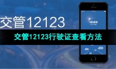 《交管12123》行驶证查看方法