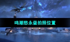 《鸣潮手游》愁永昼拍照位置