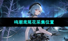 《鸣潮手游》鸢尾花采集位置