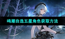 《鸣潮手游》自选五星角色获取方法