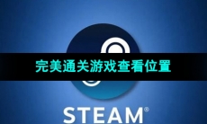 《Steam》完美通关游戏查看位置