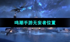 《鸣潮手游》无妄者位置