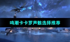 《鸣潮手游》卡卡罗声骸选择推荐