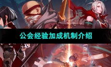 《DNF手游》公会经验加成机制介绍