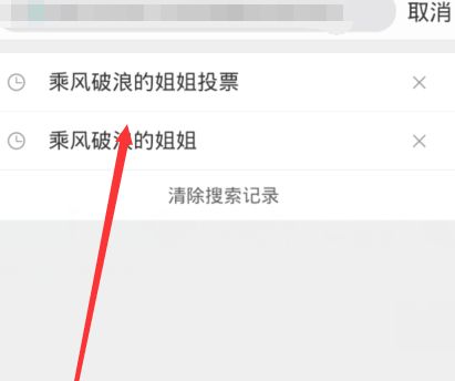 《乘风破浪的姐姐》投票通道汇总