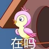 七夕布谷鸟不孤表情包分享
